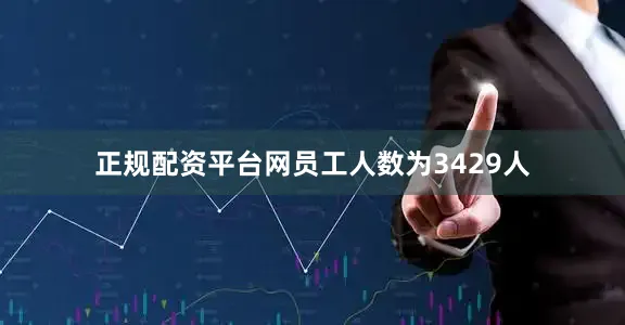正规配资平台网员工人数为3429人