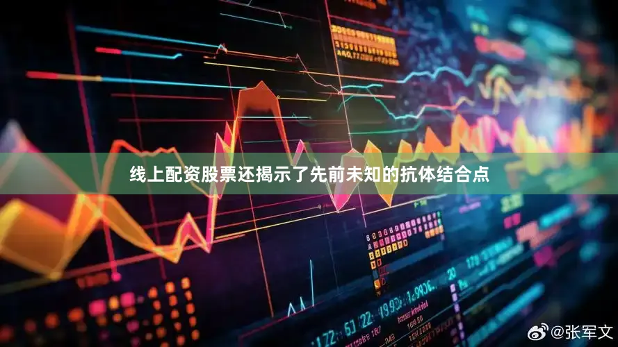 线上配资股票还揭示了先前未知的抗体结合点