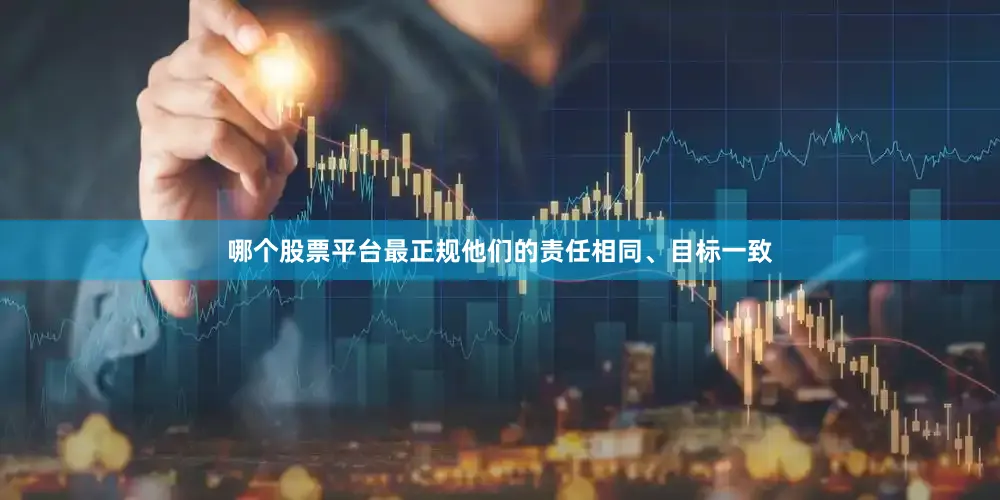 哪个股票平台最正规他们的责任相同、目标一致